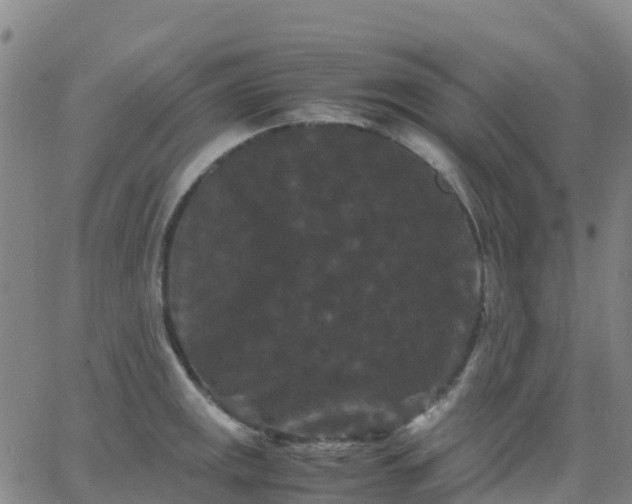 X0000062831141200601201606