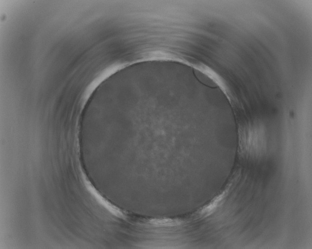 X0000062831142200601201606