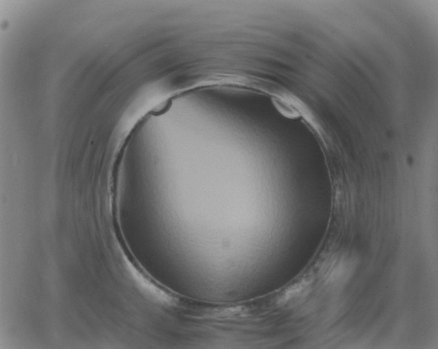 X0000062831143200601201606