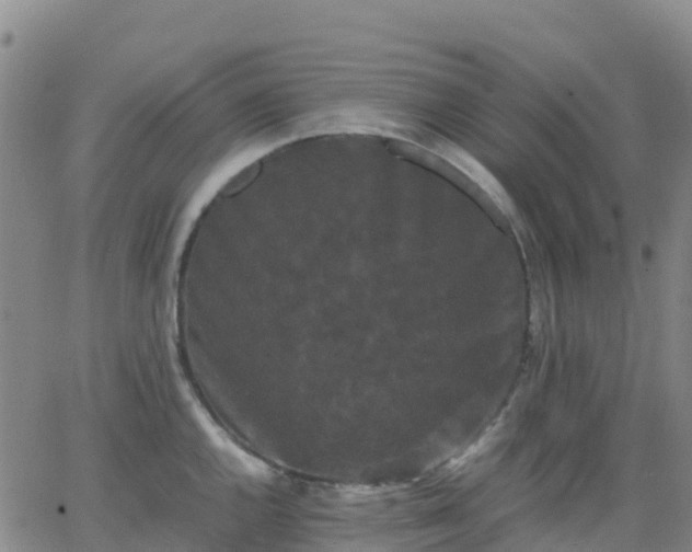 X0000062831144200601201606