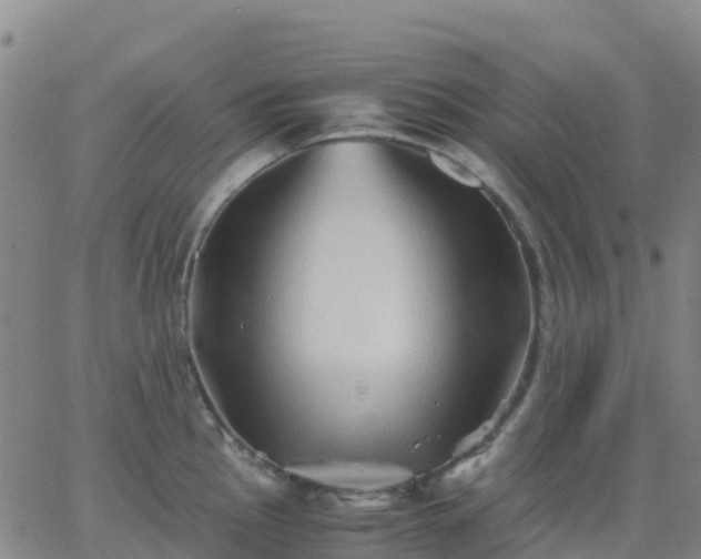 X0000062831145200601201606