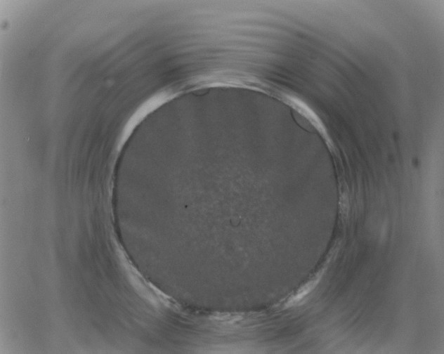 X0000062831146200601201606