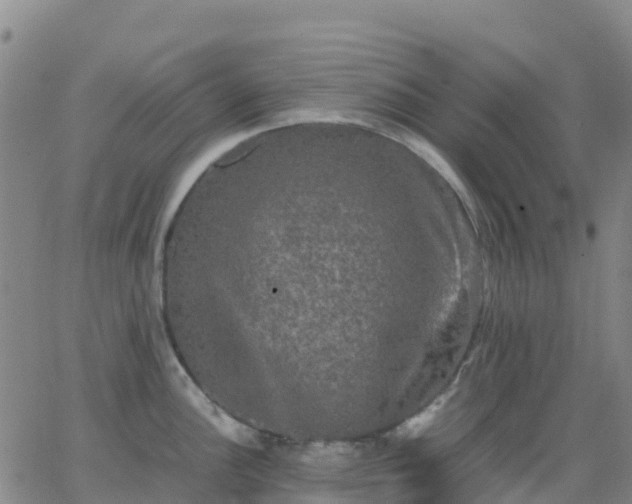 X0000062831148200601201606