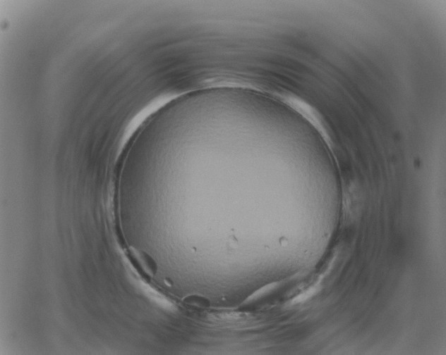 X0000062831149200601201606