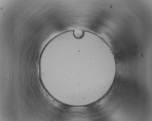 X0000062831150200601201606