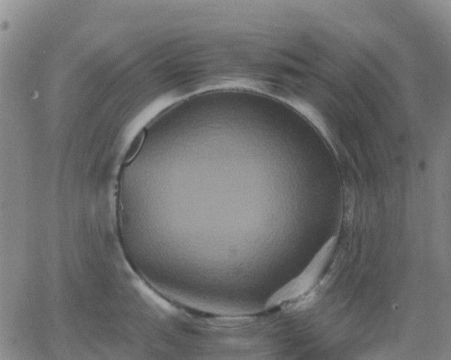 X0000062831151200601201606