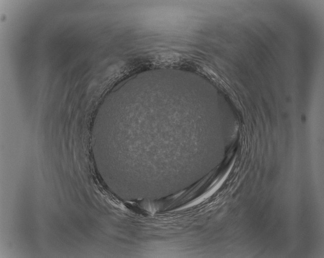 X0000062831153200601201605