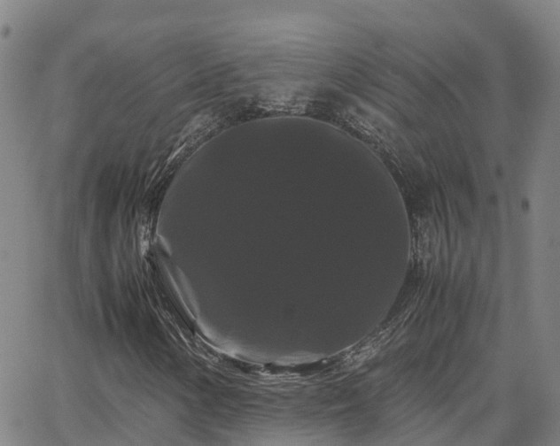 X0000062831154200601201605