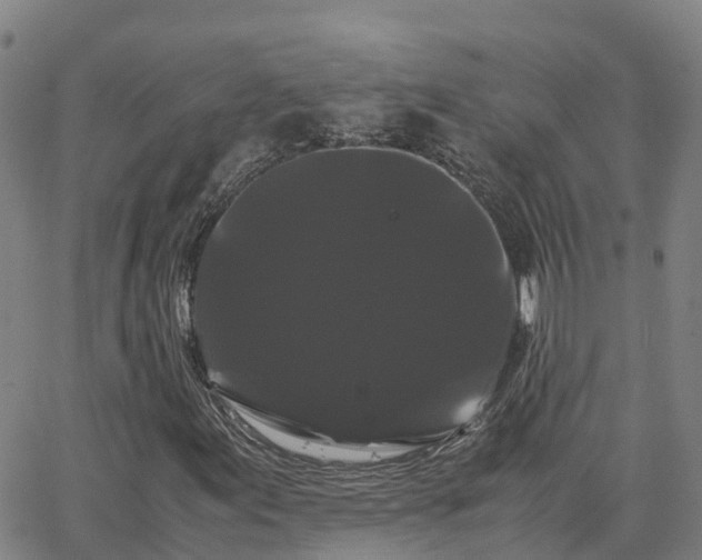 X0000062831155200601201605