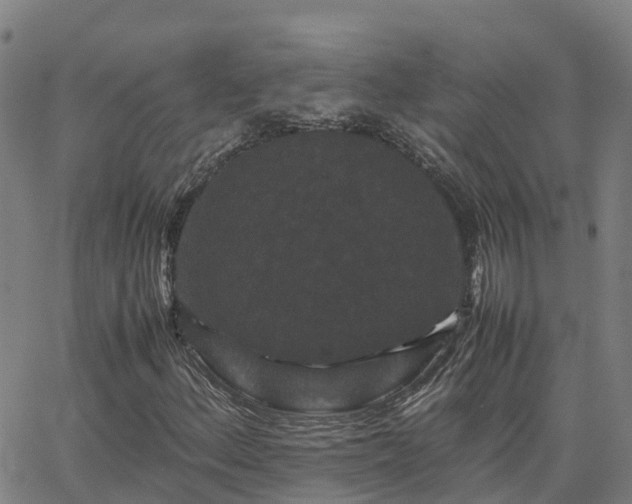 X0000062831156200601201605