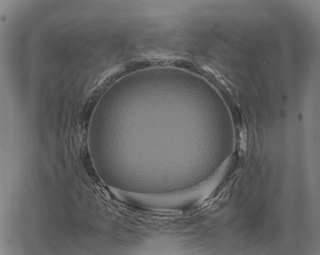 X0000062831157200601201605