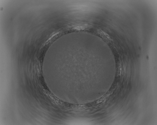 X0000062831158200601201605