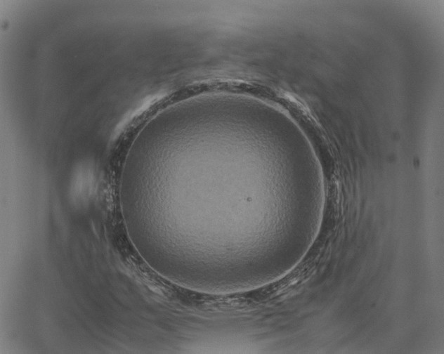 X0000062831159200601201605