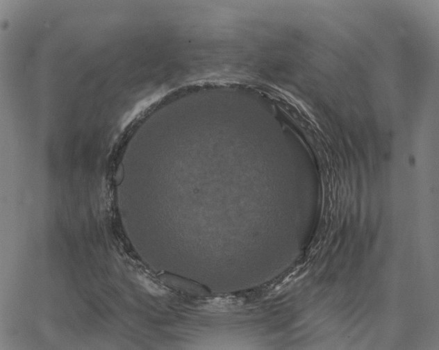 X0000062831160200601201605