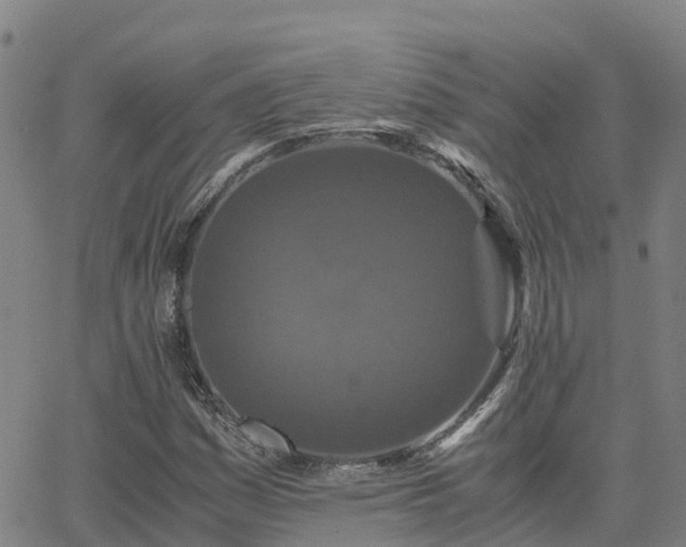 X0000062831161200601201605