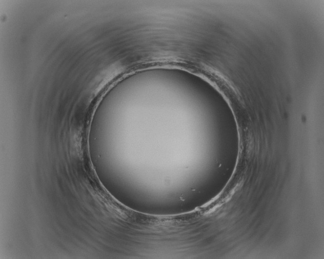 X0000062831162200601201605