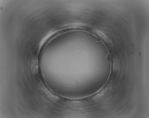 X0000062831164200601201605