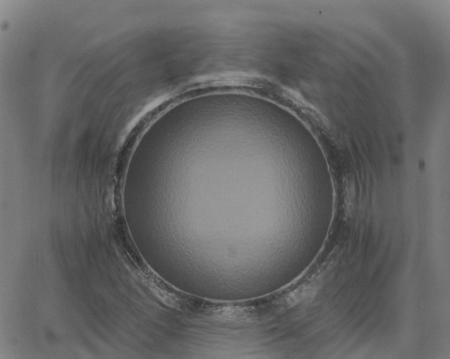 X0000062831166200601201605