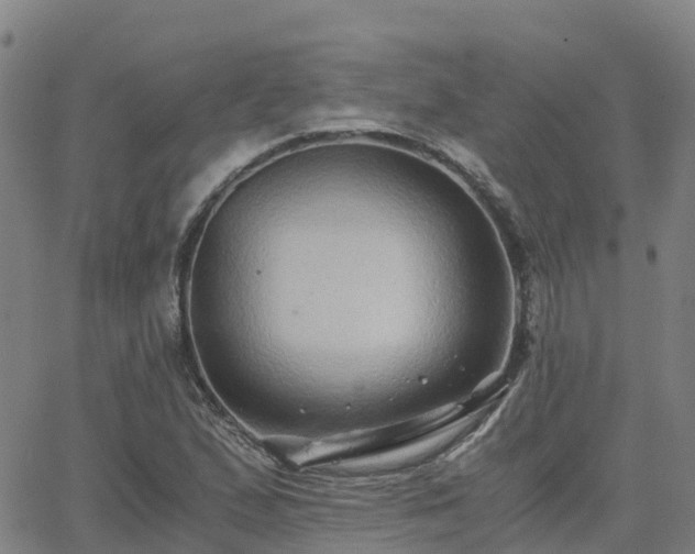 X0000062831167200601201605