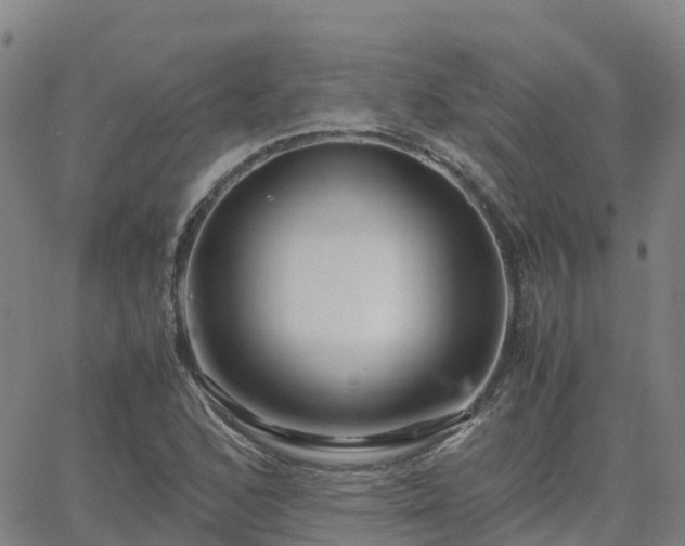 X0000062831168200601201605