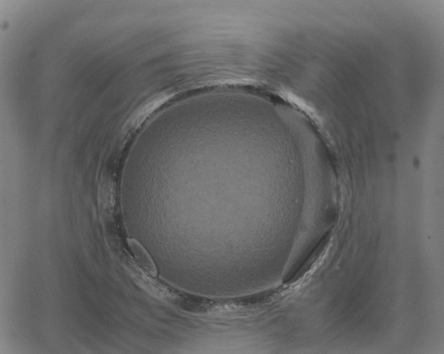 X0000062831169200601201605