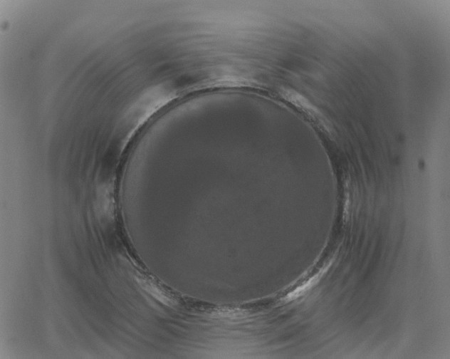 X0000062831170200601201605