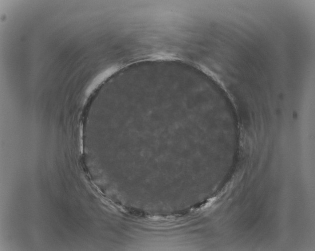 X0000062831171200601201605