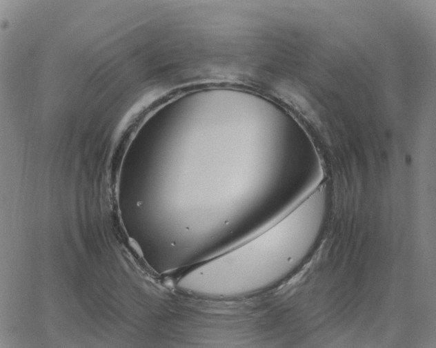 X0000062831172200601201605