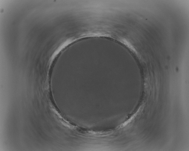 X0000062831173200601201605