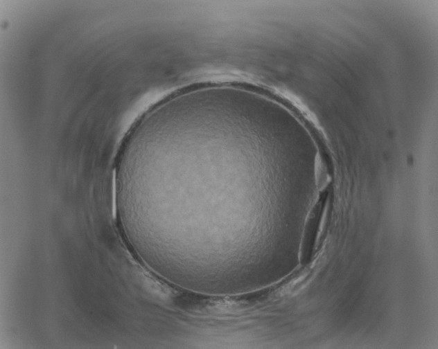 X0000062831175200601201605