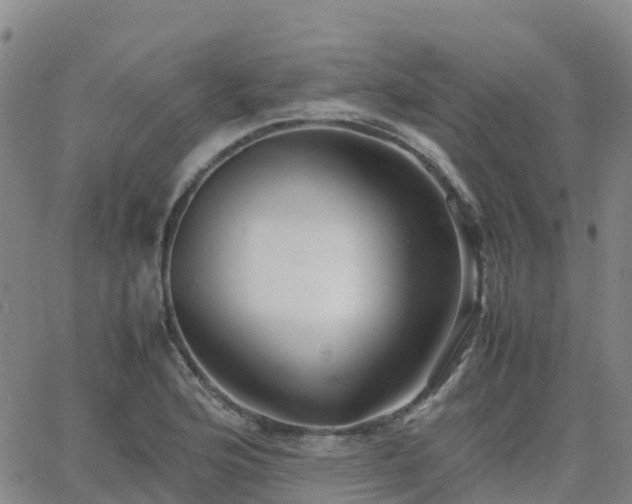 X0000062831176200601201605