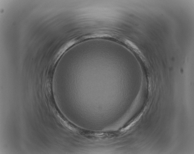 X0000062831177200601201605