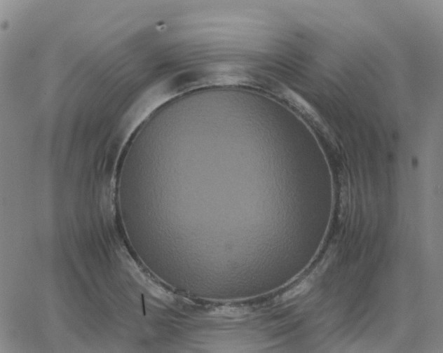 X0000062831178200601201605