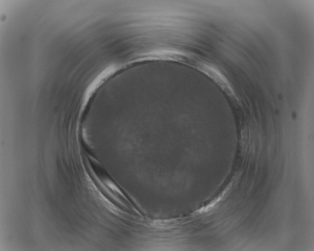 X0000062831180200601201605