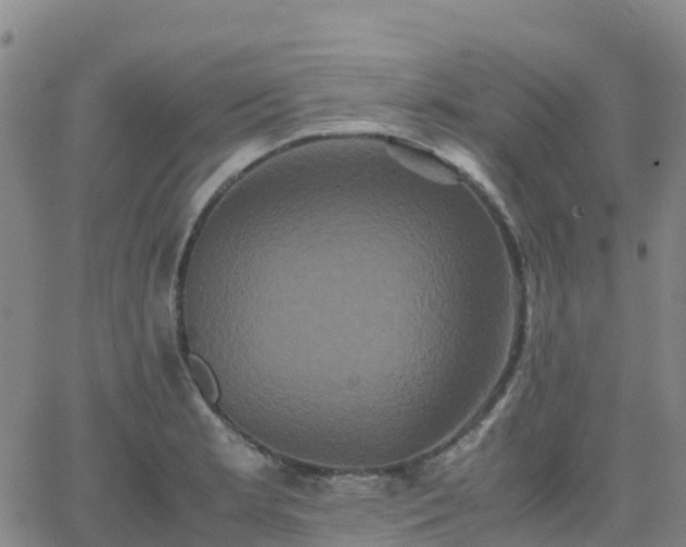 X0000062831181200601201605