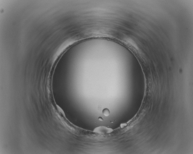 X0000062831182200601201605