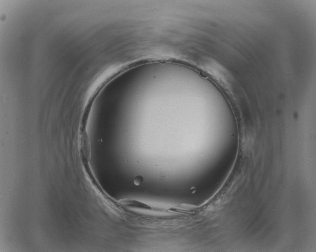 X0000062831183200601201605