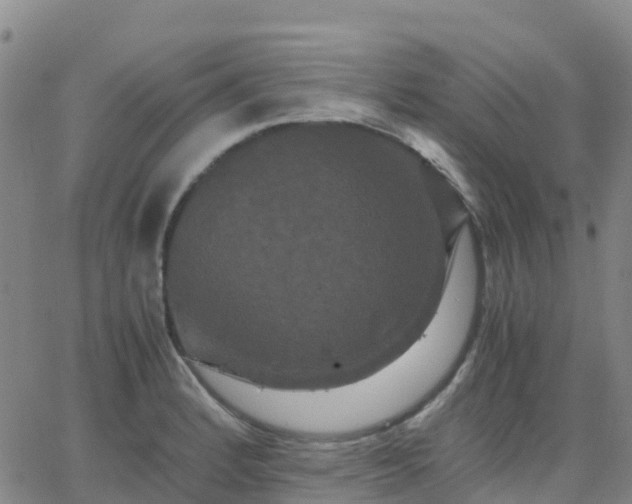 X0000062831184200601201605