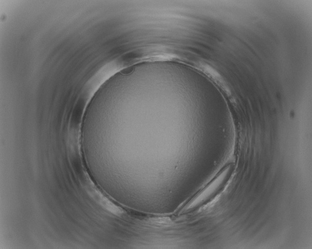 X0000062831186200601201605