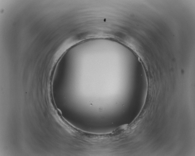 X0000062831187200601201605