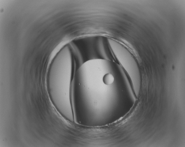 X0000062831188200601201605