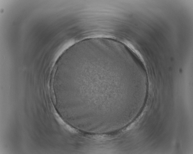 X0000062831189200601201605