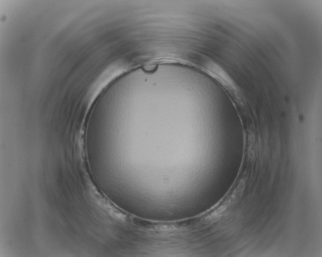 X0000062831190200601201605