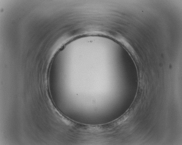 X0000062831191200601201605