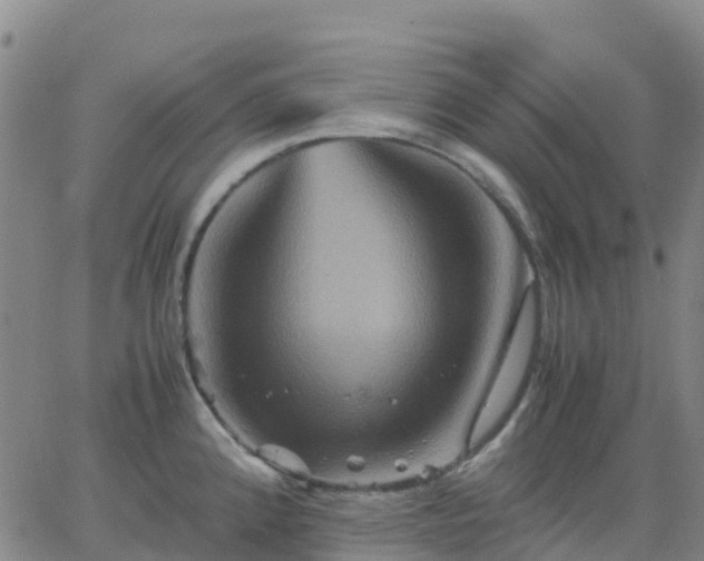 X0000062831192200601201605