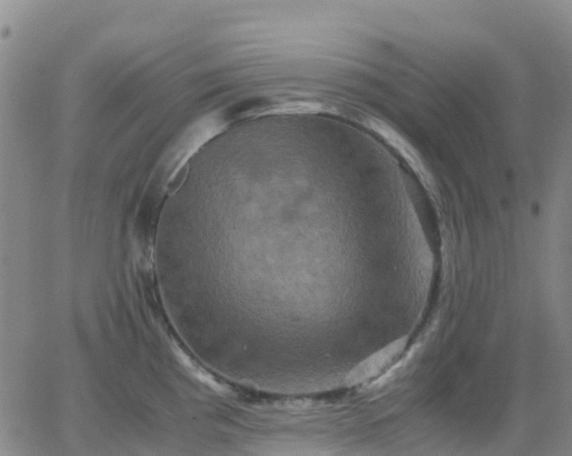 X0000062831193200601201605