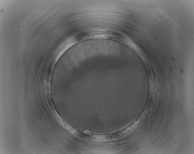 X0000062831194200601201605