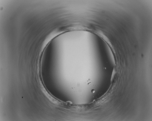 X0000062831195200601201605