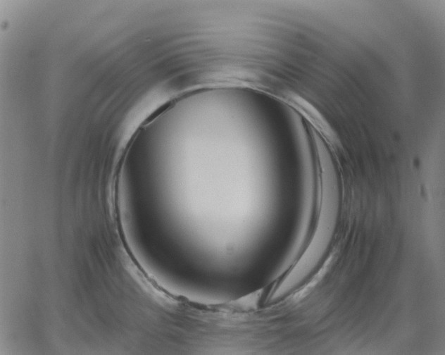 X0000062831196200601201605