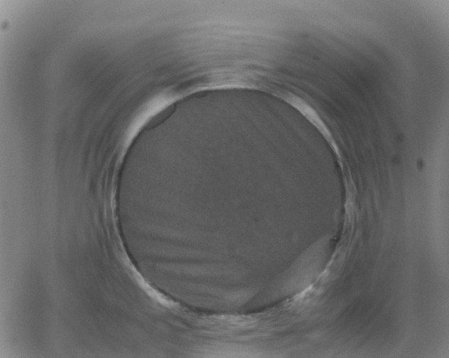 X0000062831197200601201605